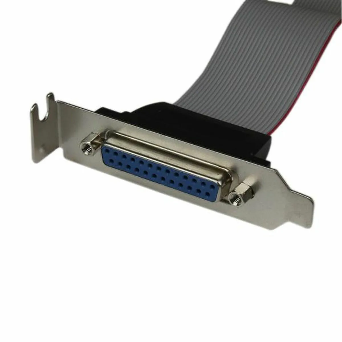 Adaptateur startech plate25f16lp s5505701134. Chez Diaytar, nous croyons que le meilleur des produits généraux et électroniques doit être accessible à tous, sans compromis sur le style