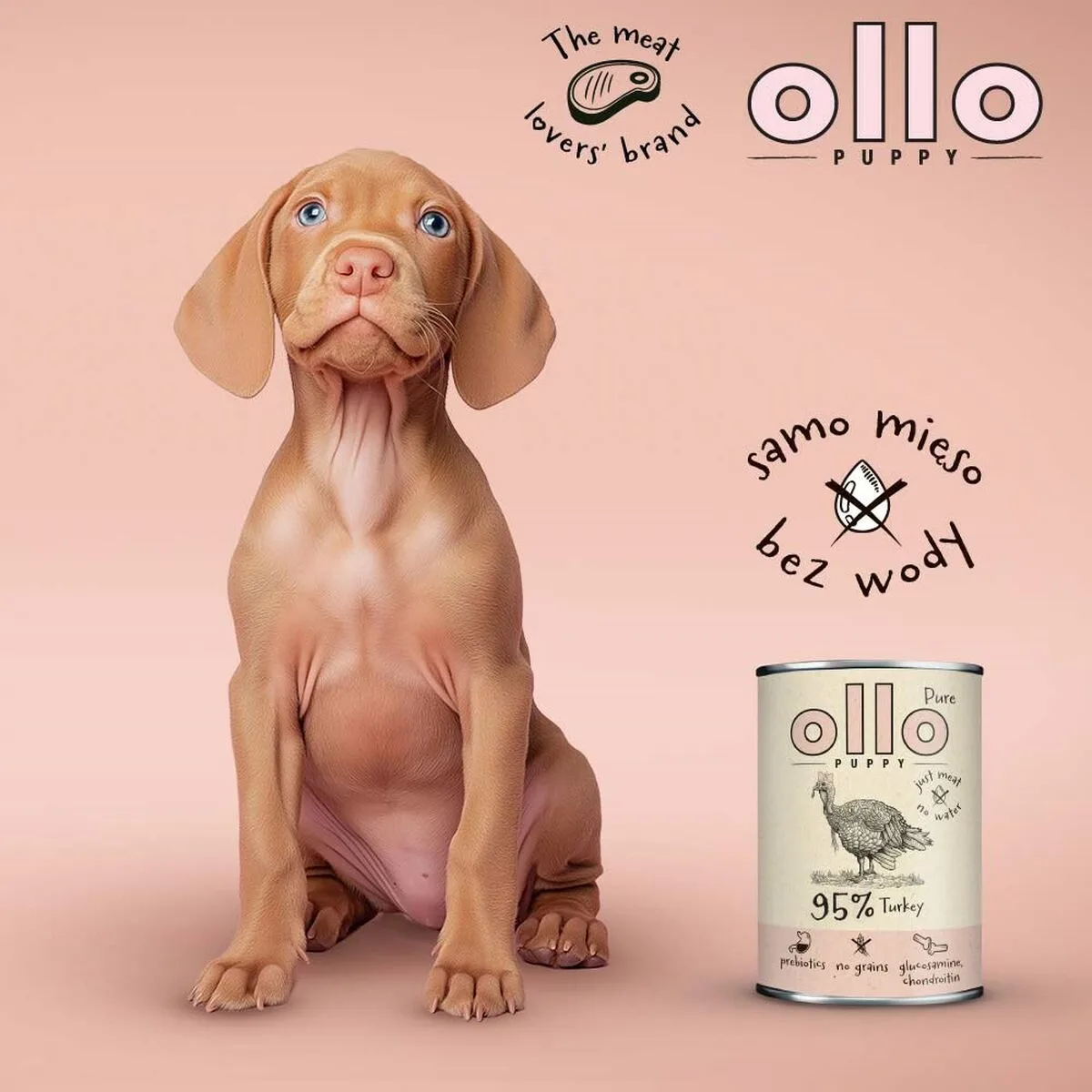 Alimentation humide ollo s9112064489. Pour ceux qui refusent de choisir entre fonctionnel et esthétique : Diaytar propose les deux dans chaque produit