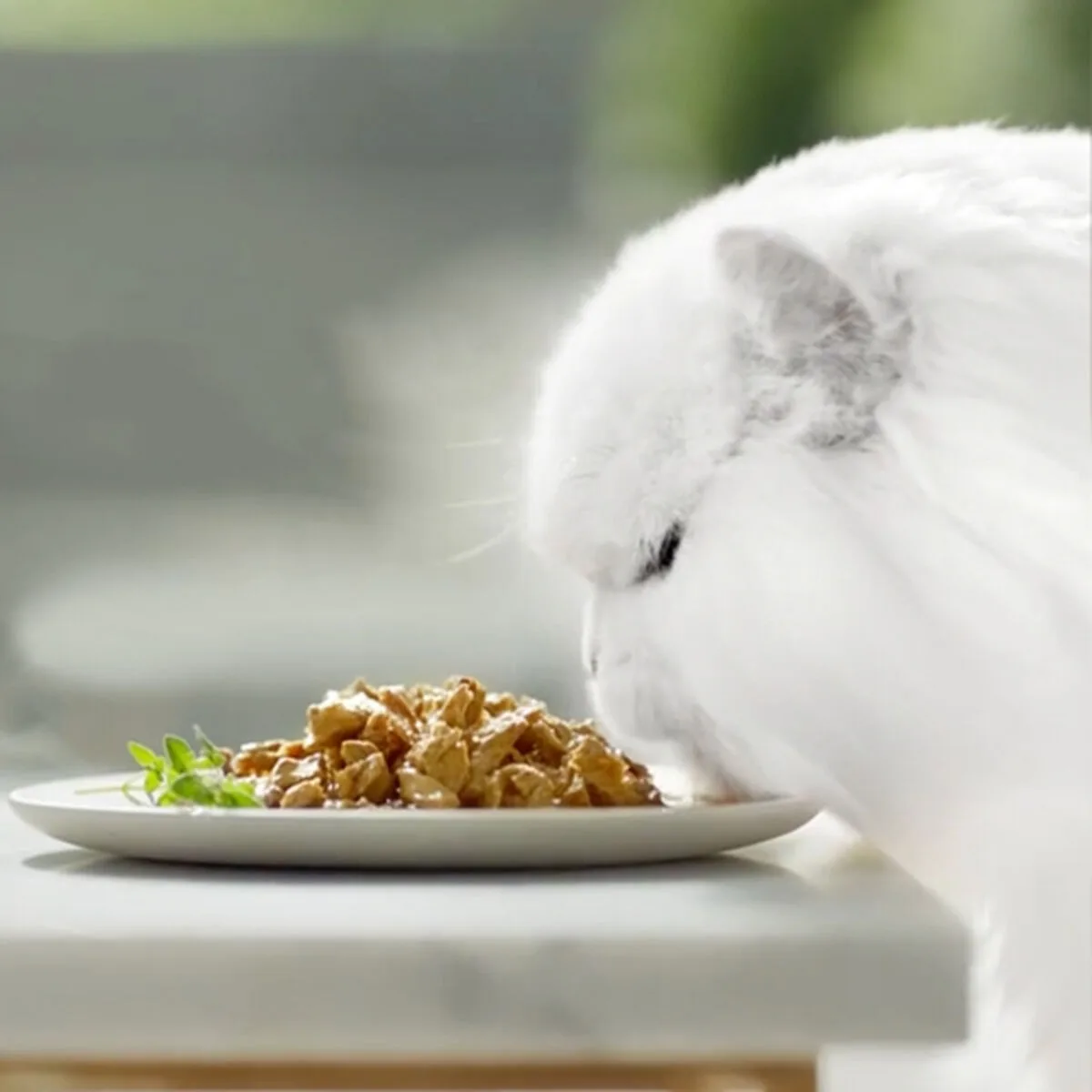 Alimentation humide purina gourmet 340 g s913347559. Diaytar, c'est le point de rencontre entre les passionnés de belles technologies et les amateurs de décoration tendance