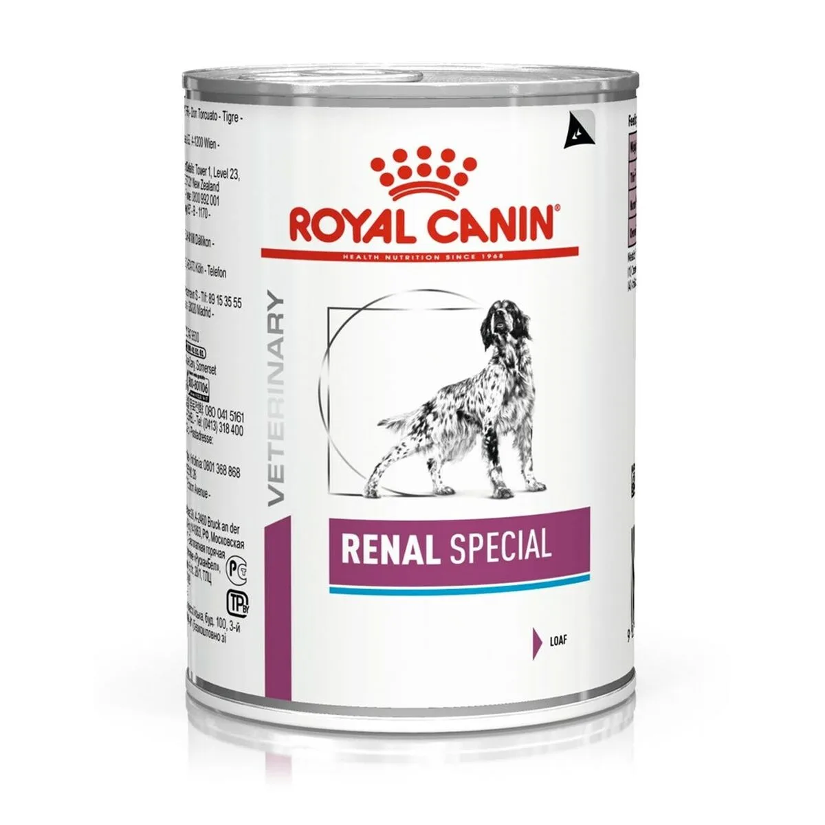 Alimentation humide royal canin renal special poulet saumon cochon 410 g s911128869. Les influenceurs adorent Diaytar pour ses pièces mode avant-gardistes.