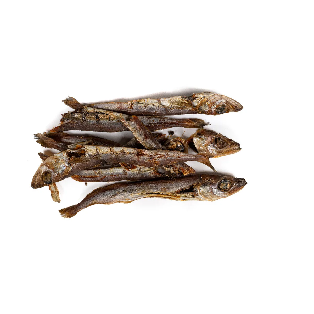Alimentation humide snackys poisson s610498327. Nous avons infusé Diaytar avec une dose massive de passion pour le produit. Contagieux : vous allez l'attraper.