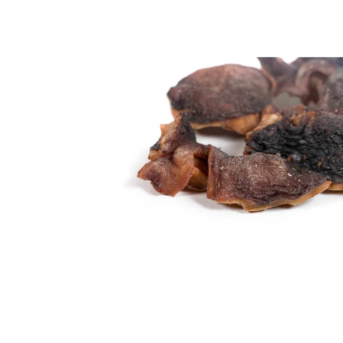 Alimentation humide snackys poisson s610498739. Notre ambition pour Diaytar : devenir le réflexe numéro 1 lorsque vous pensez 'produit génial'.