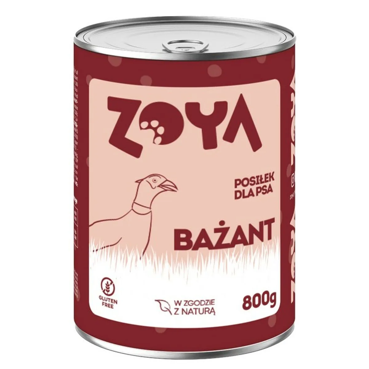 Alimentation humide zoya pheasant 800 g s9111669121. Diaytar a bâti sa réputation sur un mélange parfait entre produits technologiques innovants et articles généraux de qualité supérieure