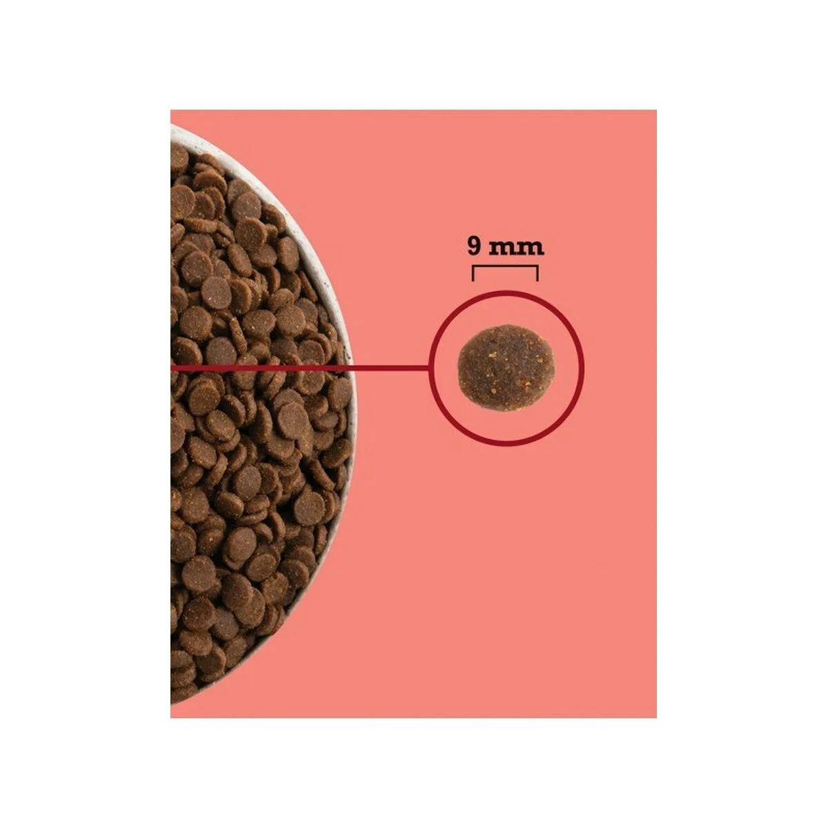 Aliments pour chat acana s9112061347. Diaytar, c'est votre garantie contre la déception. Des produits testés et approuvés, pour un shopping en toute sérénité.