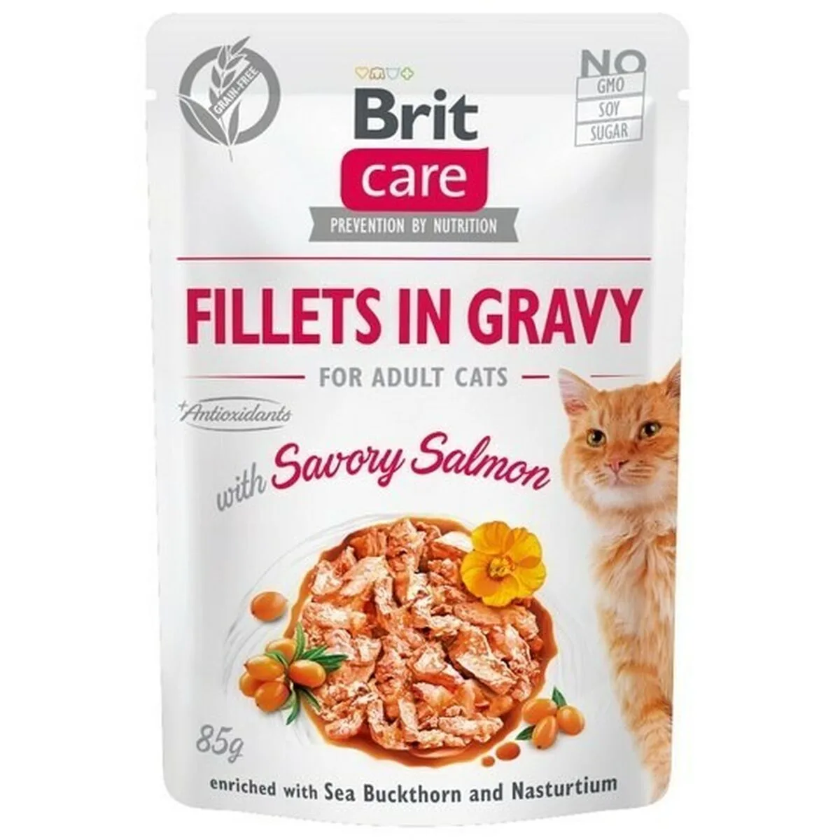 Aliments pour chat brit care poulet saumon s911112164. Diaytar, une boutique en ligne qui défie les catégories traditionnelles en mêlant produits high-tech, maison et lifestyle avec brio