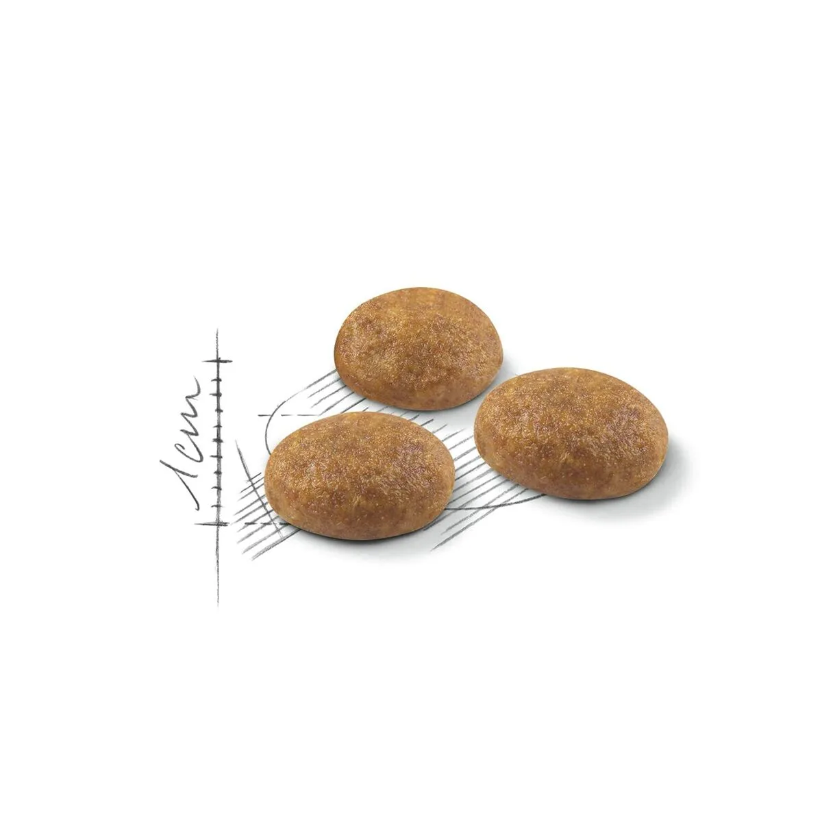 Aliments pour chat royal canin active life outdoor adulte oiseaux 4 kg s910533210. Diaytar, le partenaire de ceux qui veulent une vie mieux équipée, mieux designée et plus connectée, tout simplement.Diaytar : Le laboratoire des tendances où naissent vos futurs produits préférés, des essentiels aux plus innovants.