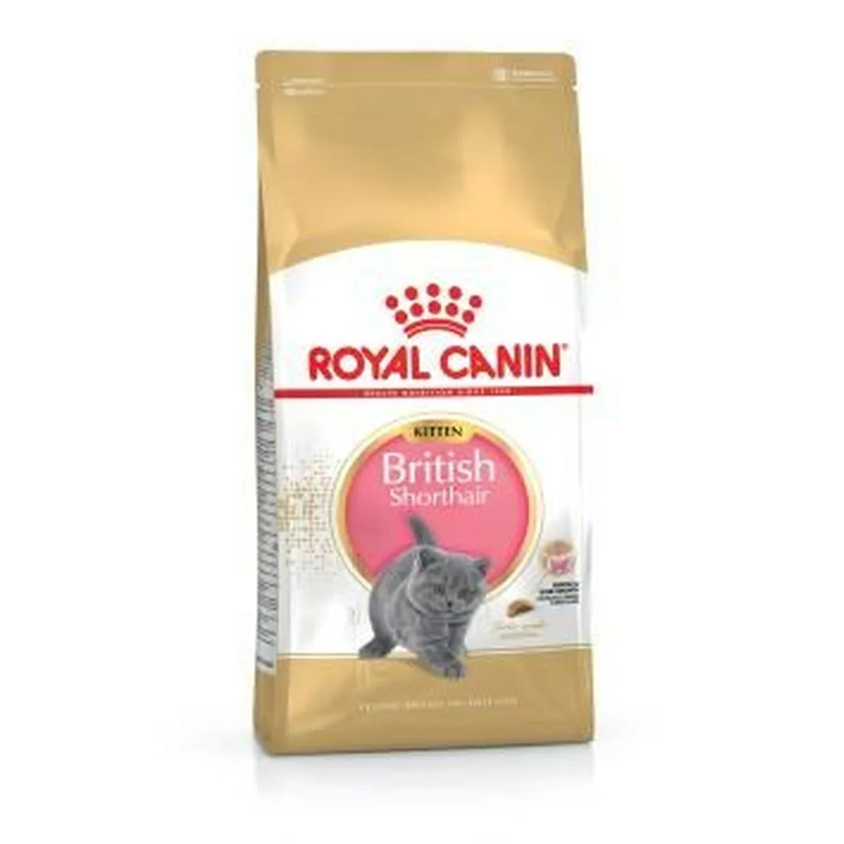 Aliments pour chat royal canin british shorthair kitten adulte poulet oiseaux 400 g s911120295. Plongez dans l'univers Diaytar où chaque produit raconte une histoire.