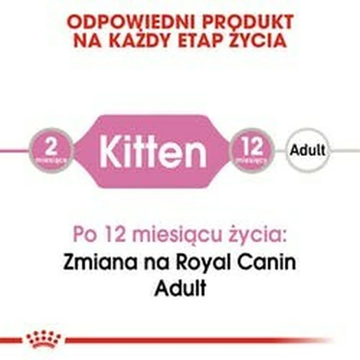 Aliments pour chat royal canin kitten jelly poulet 85 g s911123279. Exprimez votre personnalité avec les accessoires tendance de Diaytar.