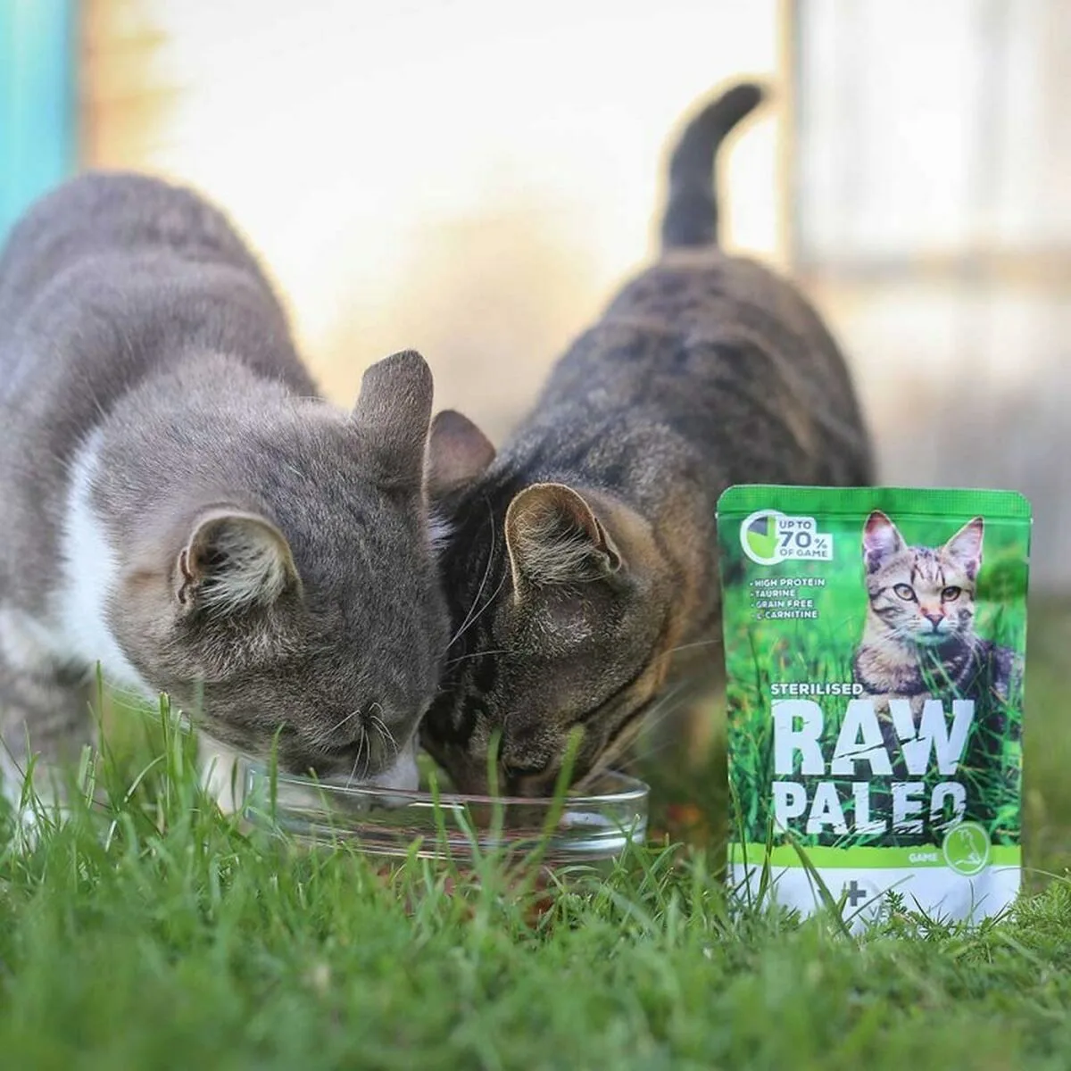 Aliments pour chat vetexpert adult cat 100 g s9110529988. Chez Diaytar, chaque visite est l'occasion de découvrir un nouveau produit génial, qu'il soit électronique ou domestique