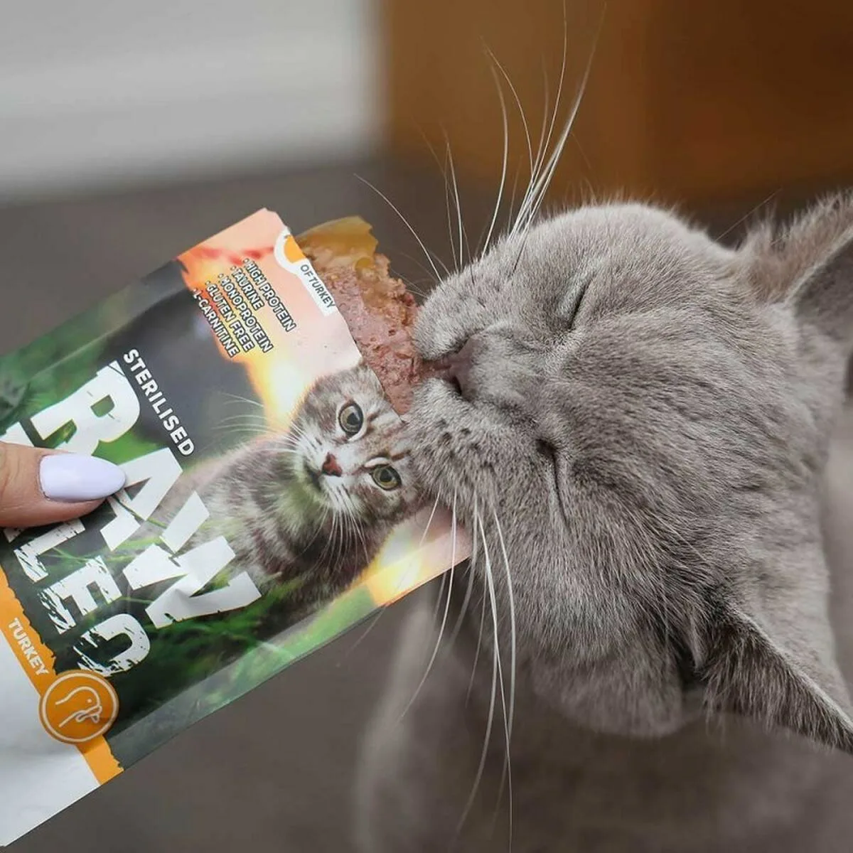 Aliments pour chat vetexpert adult cat 100 g s9110530071. Diaytar est le résultat de milliers d'heures de recherche et développement pour vous offrir une offre généraliste d'exception.