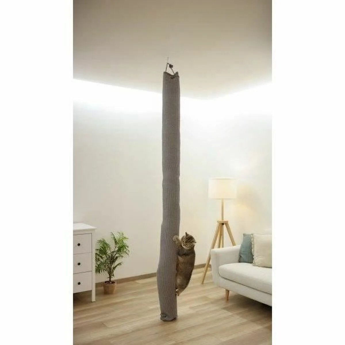 Arbre a chat kerbl gris s7100698995. Nous avons créé Diaytar pour être le point de repère dans le paysage souvent confuse du e-commerce généraliste.