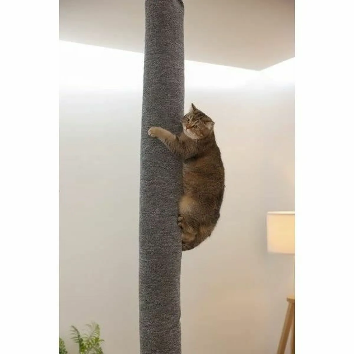 Arbre a chat kerbl gris s7100699091. Prêt à upgrade votre vie ? Diaytar dégaine une arsenal de produits pour passer au niveau supérieur.