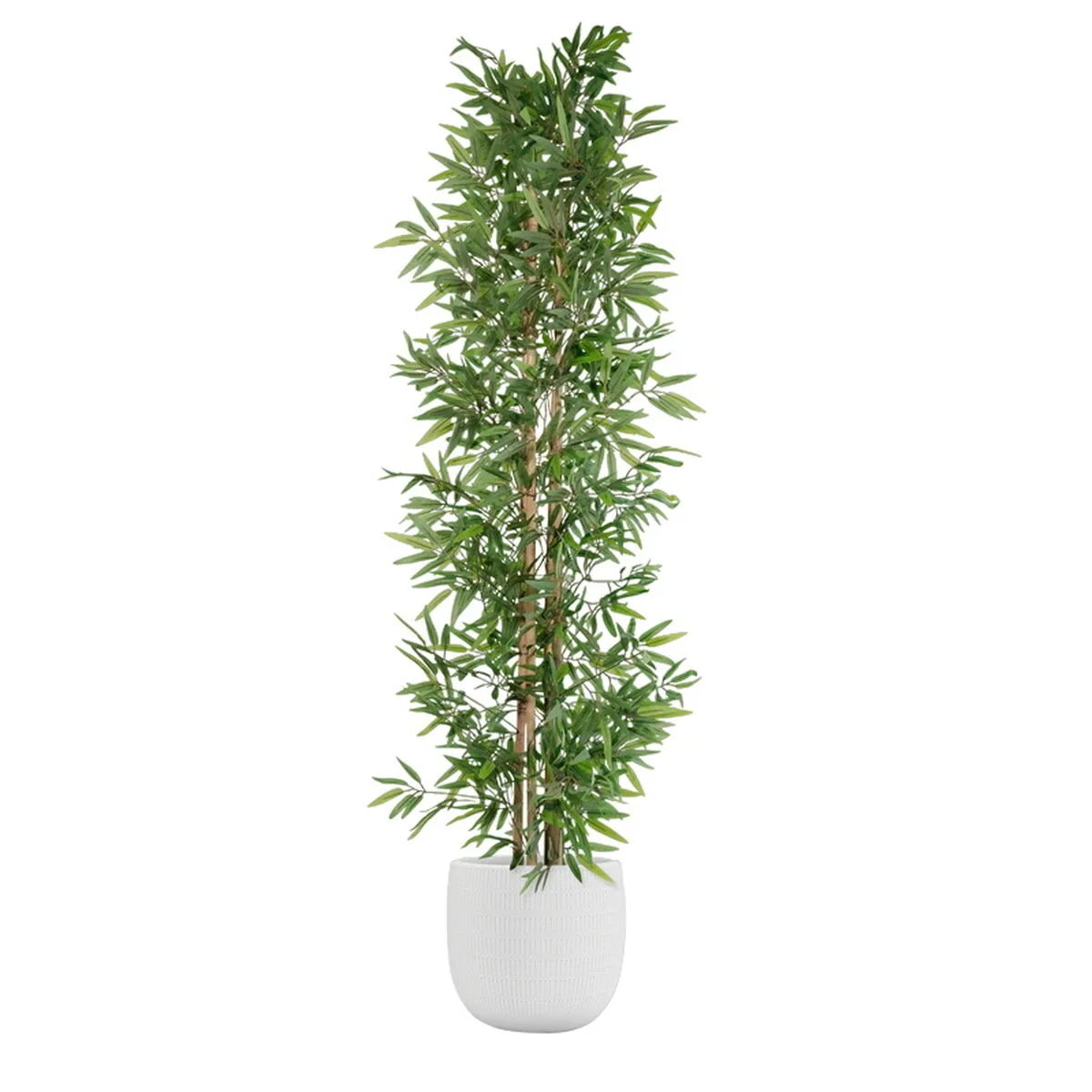 Arbre home esprit polyester bambou 40 x 40 x 180 cm s305426696. Les dernières tendances mode vous attendent chez Diaytar !