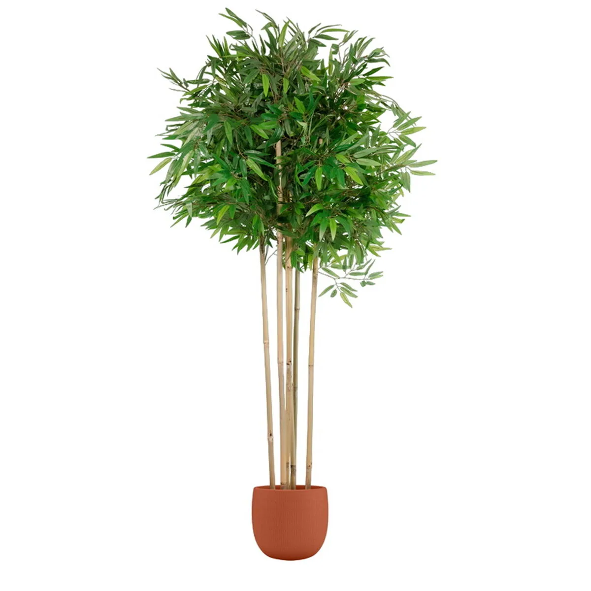 Arbre home esprit polyester bambou 80 x 80 x 180 cm s305444512. Diaytar vous ouvre les portes d'un monde où tous les produits, des plus high-tech aux plus simples, sont source d'inspiration