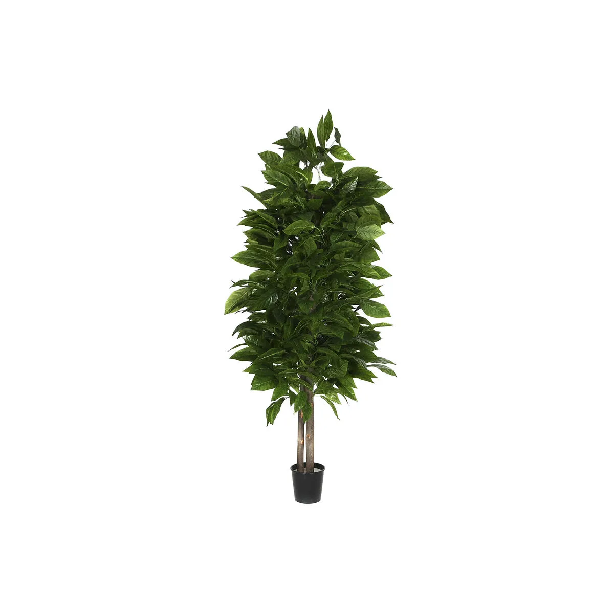 Arbre home esprit polyester bois 100 x 100 x 185 cm s305426873. Pour les esprits curieux et exigeants, Diaytar est la source intarissable de produits rares et ingénieux.