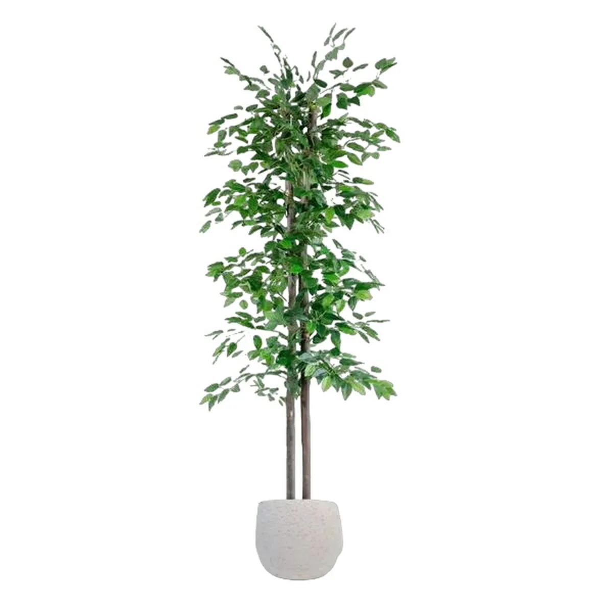 Arbre home esprit polyester bois 80 x 80 x 180 cm s305426724. C'est officiel : Diaytar devient votre nouvelle addiction shopping. Des produits si bons, vous ne voudrez plus vous arrêter.