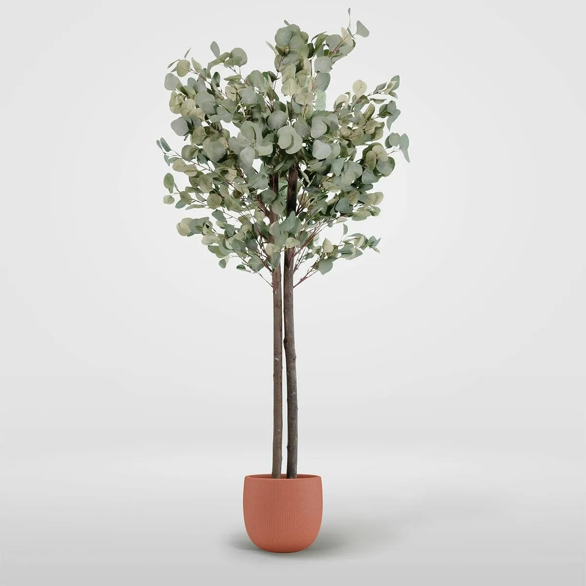 Arbre home esprit polyester bois ciment eucalyptus 90 x 90 x 180 cm s305730565. Nous avons bâti Diaytar sur la conviction qu'un produit génial n'a pas de prix, mais devrait avoir un prix accessible.