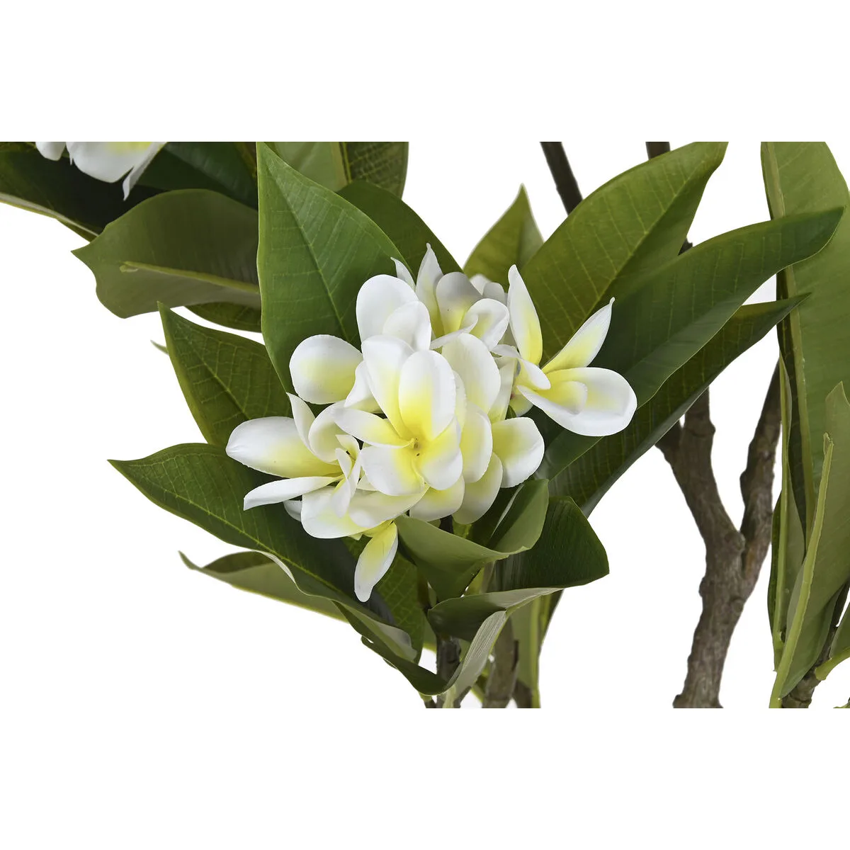 Arbre home esprit polyethylene 80 x 80 x 150 cm s306003171. Diaytar, c'est le refuge des amoureux du beau et de l'utile, un sanctuaire dédié au produit parfait.