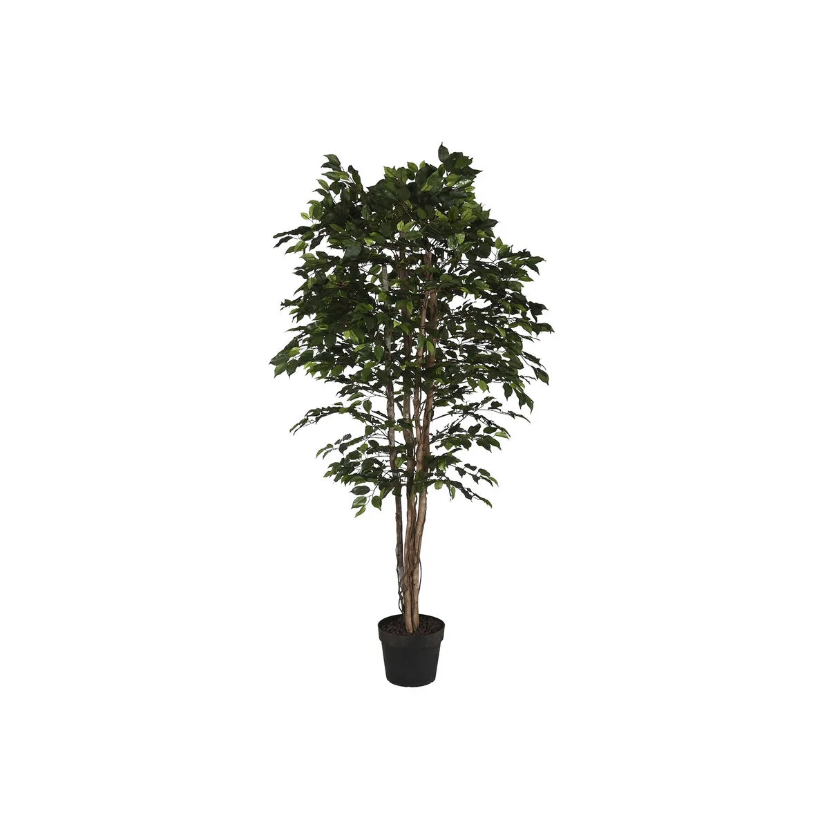 Arbre home esprit polyethylene ficus 100 x 100 x 210 cm s305574518. Diaytar a fait le pari de la transparence : nous vous disons tout sur l'origine et la conception de nos produits.