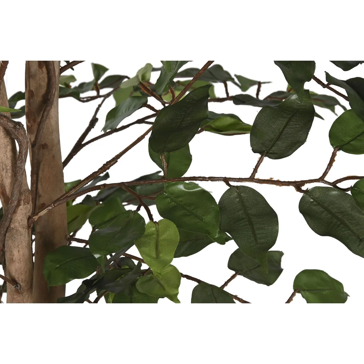 Arbre home esprit polyethylene ficus 100 x 100 x 210 cm s305574531. Diaytar, c'est le cocktail parfait entre l'esprit start-up et l'expertise d'un grand commerçant généraliste.