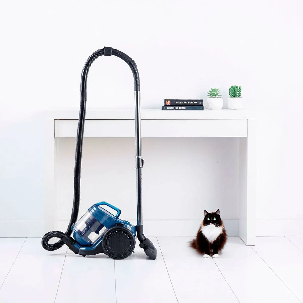 Aspirateur taurus homeland cyc an noir 800 w s046034197. Diaytar révolutionne votre façon de faire du shopping en ligne !