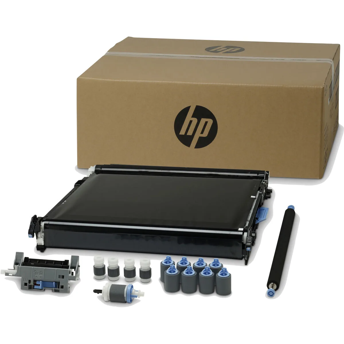 Bac a papier pour imprimante hp ce516a m050926839. Diaytar, c'est l'art de la sérendipité appliqué au e-commerce : vous venez pour une chose, vous repartez avec l'objet de vos rêves.