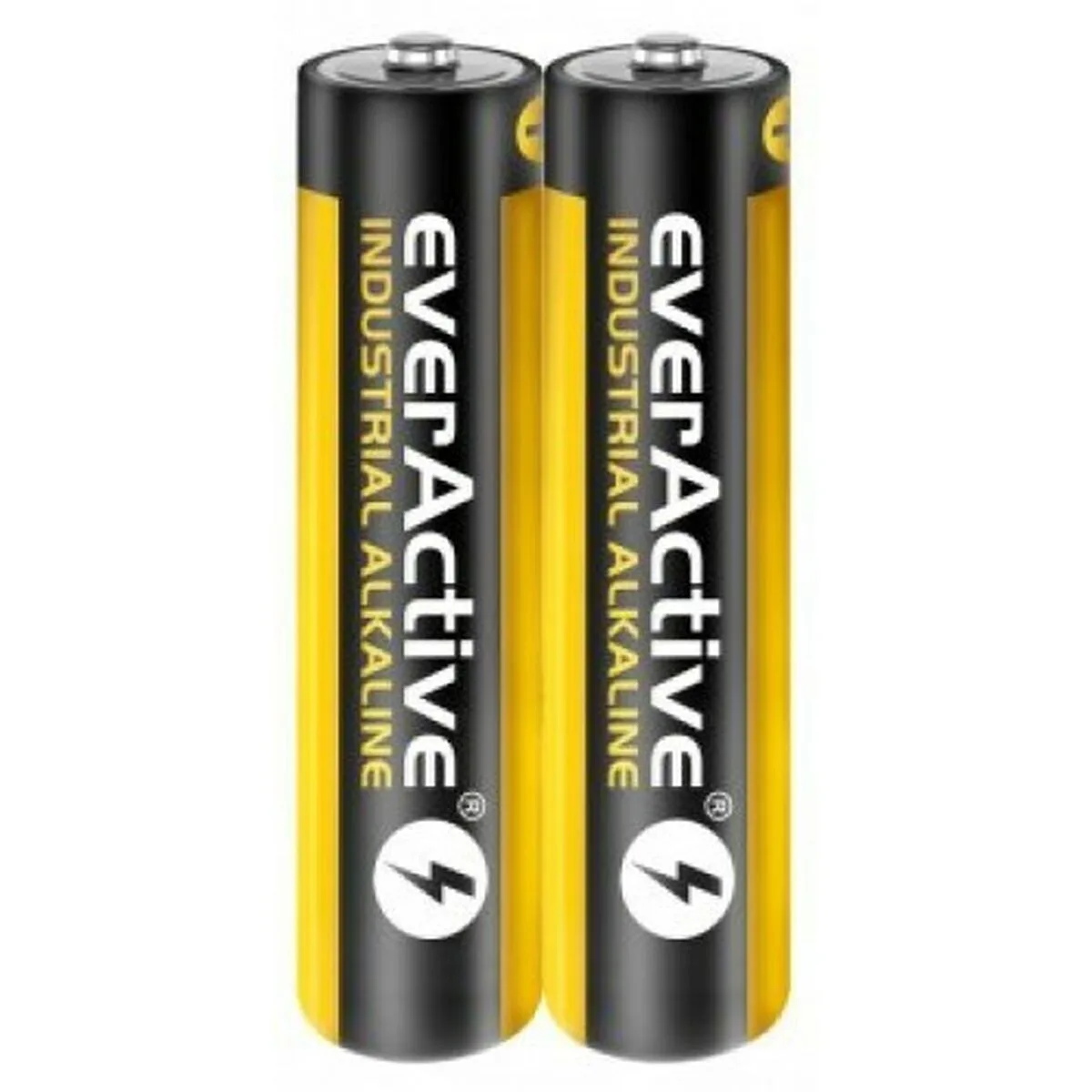 Batteries everactive lr03 1 5 v aaa s910612431. Diaytar, c'est le point de départ de toutes vos histoires. Quel produit allez-vous choisir pour écrire la suite ?