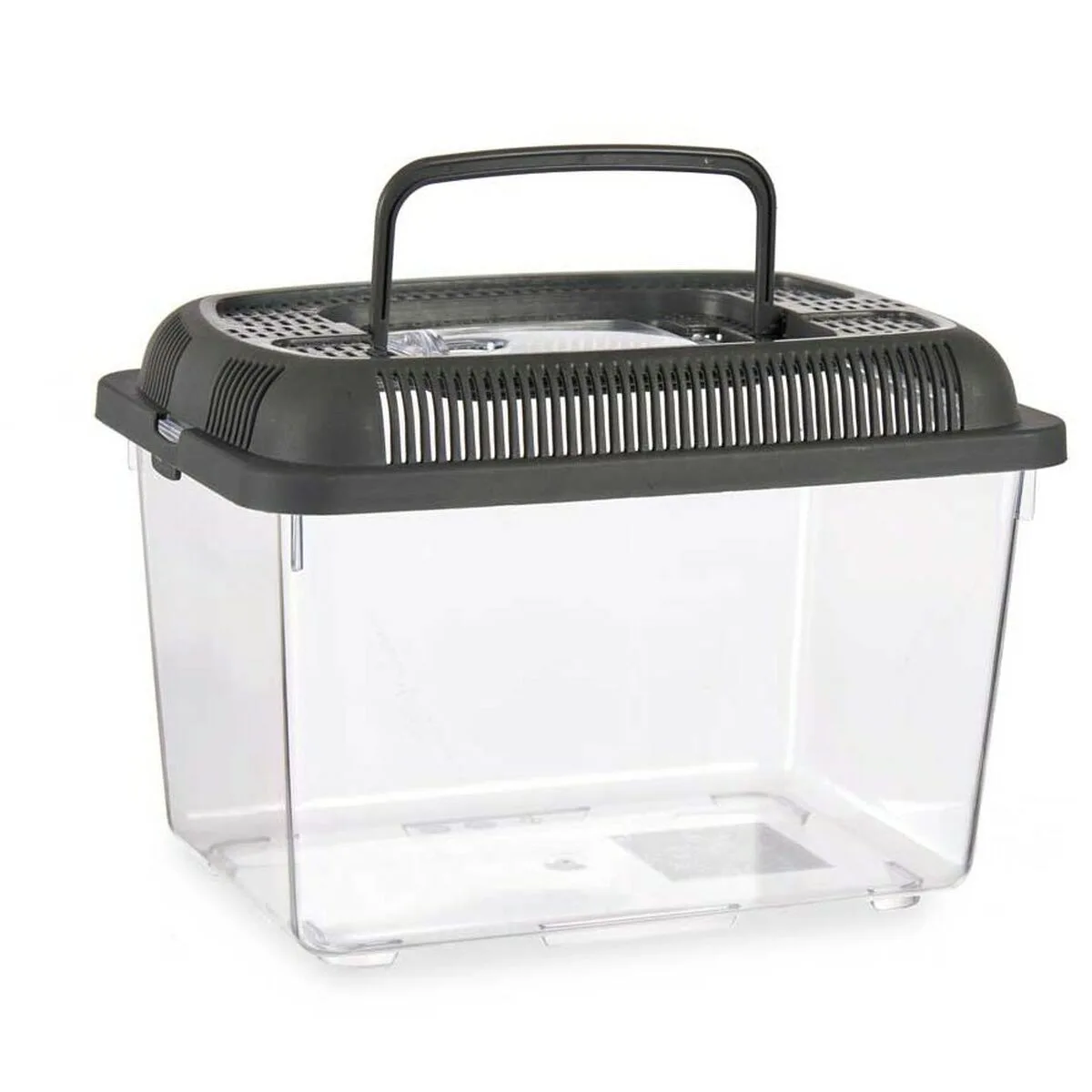 Bocal a poisson avec poignee moyen anthracite plastique 3 l 17 x 16 x 24 cm 12 unites s362572618. Nous croyons en la puissance de la simplicité. Les produits Diaytar sont beaux, utiles, et incroyablement simples à utiliser.