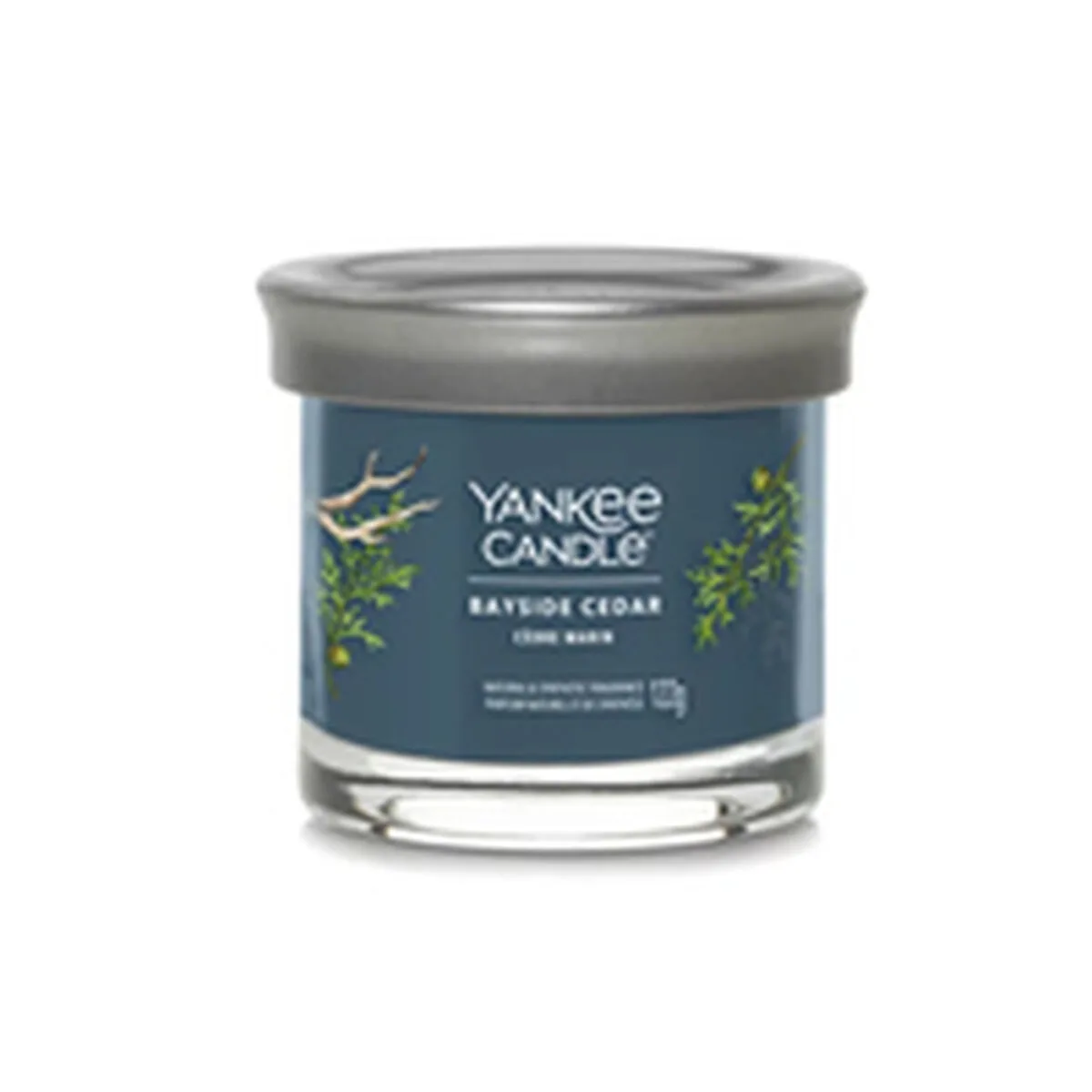 Bougie parfumee yankee candle bayside cedar 122 ml s832173720. Diaytar : Votre destination shopping en ligne pour découvrir les dernières tendances et produits généraux soigneusement sélectionnés