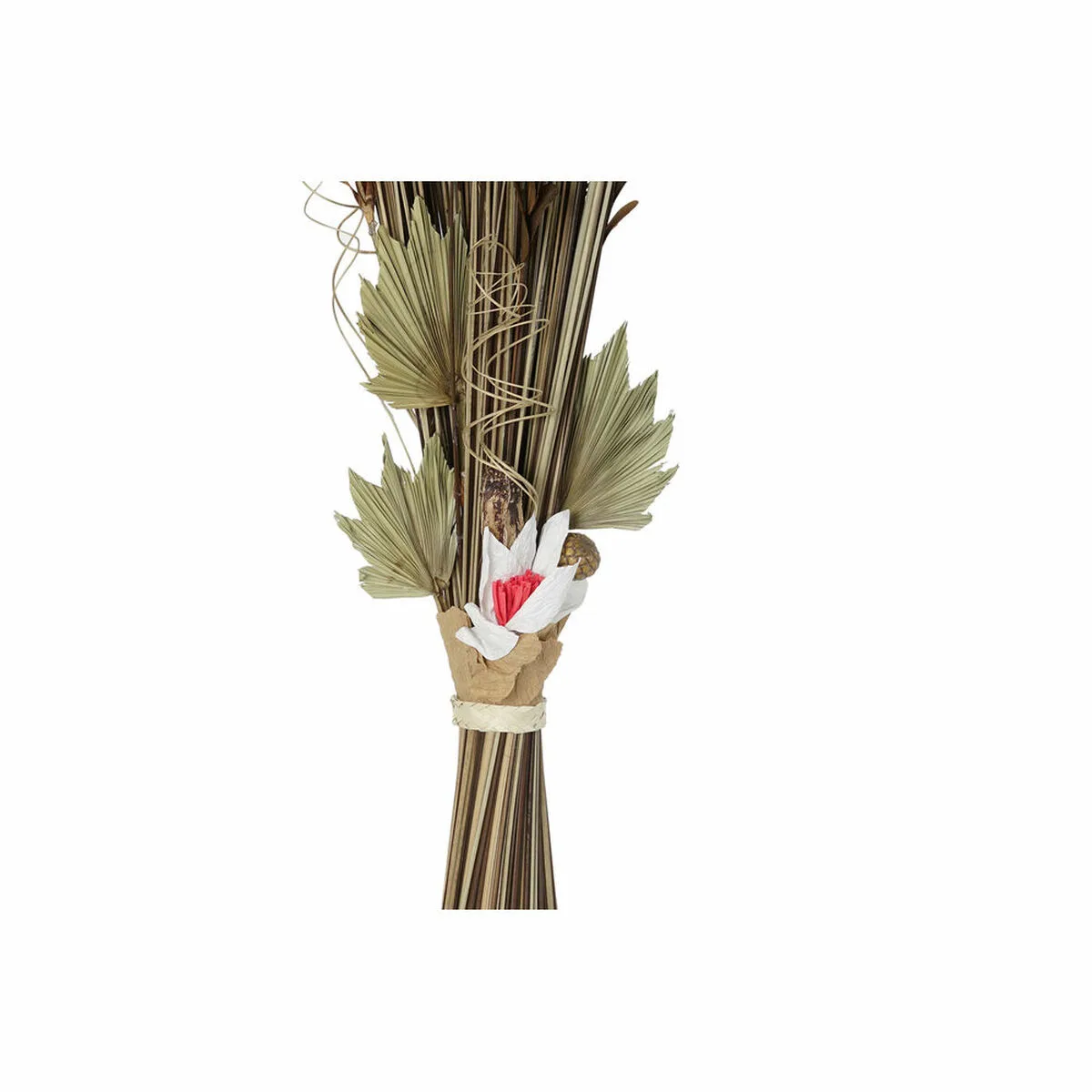 Branche dkd home decor 8424001847471 fleurs naturel rouge marron fleur sechee 40 x 40 x 150 cm 2 unites s302009114. Diaytar a foi en une idée simple : les meilleurs produits, qu'ils soient électroniques ou généraux, embellissent le quotidien