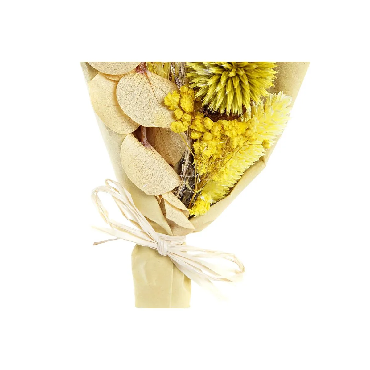 Branche dkd home decor beige jaune fleur sechee 10 x 5 x 18 cm 2 unites s303982813. L'excellence à portée de clic avec la boutique en ligne Diaytar.