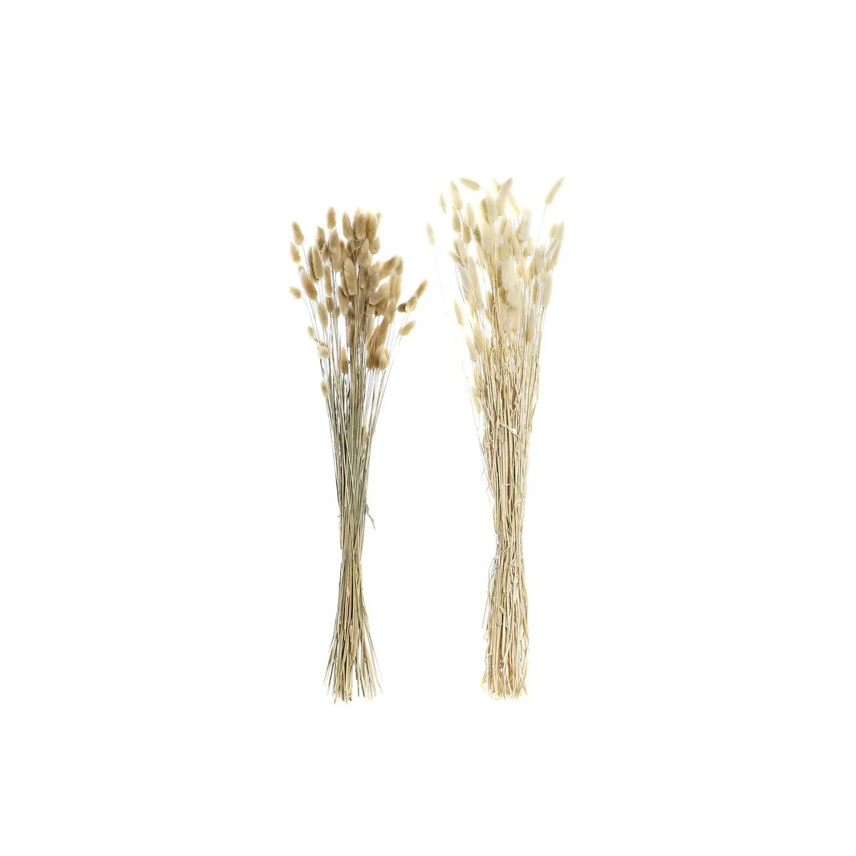 Branche dkd home decor beige marron fleur sechee 12 x 12 x 76 cm 2 unites s303068110. Avec Diaytar, redécouvrez le plaisir de l'achat en ligne grâce à une approche humaine des produits et de la curation