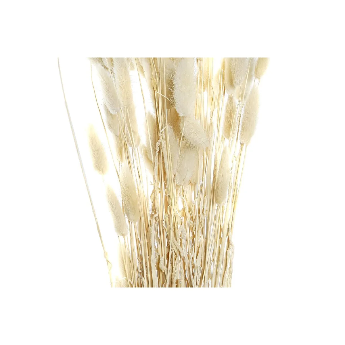 Branche dkd home decor beige marron fleur sechee 12 x 12 x 76 cm 2 unites s303068127. L'ambition de Diaytar : devenir votre boutique en ligne de référence pour tous les produits qui améliorent votre vie