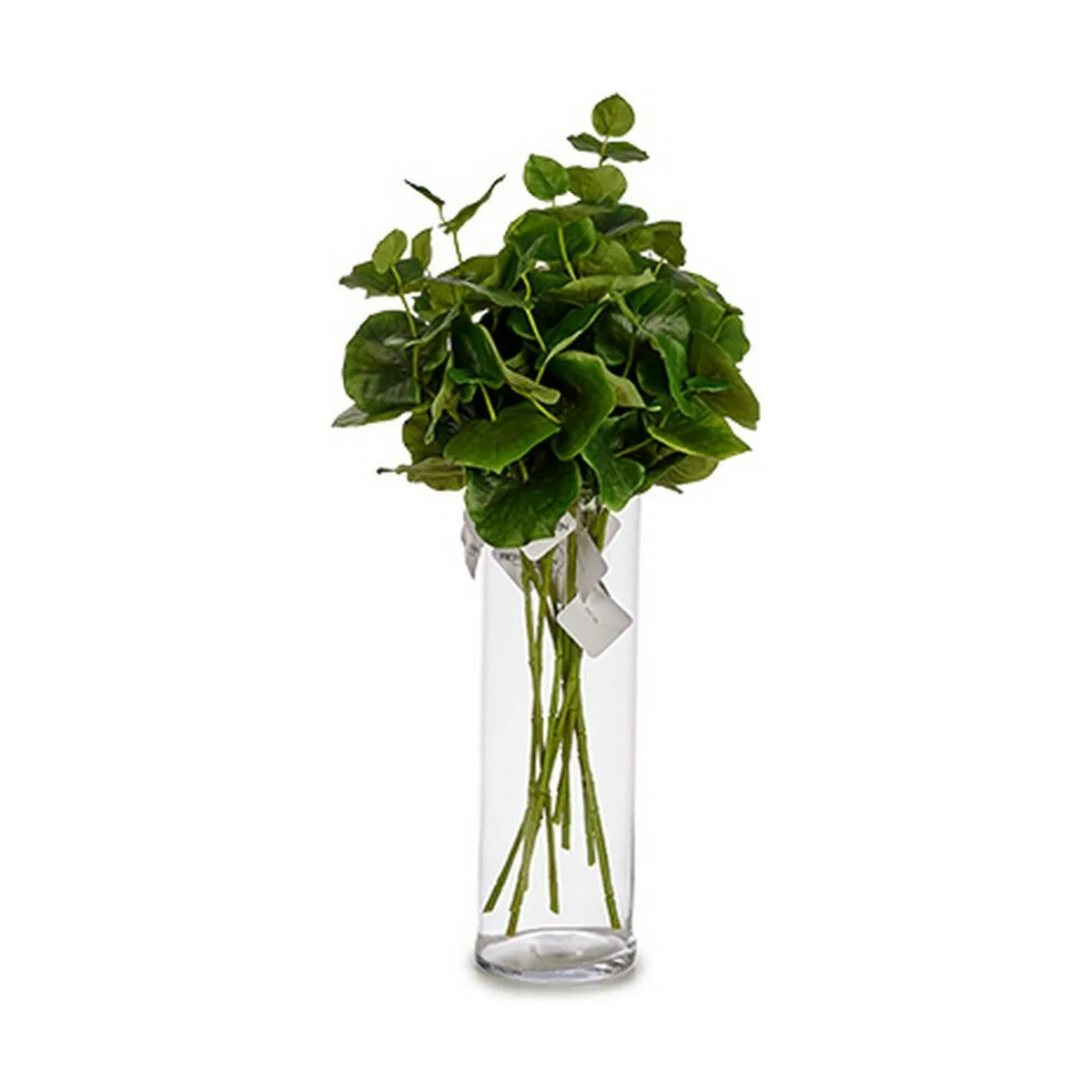 Branche ibergarden yd120128 vert plastique 75 cm volets 12 unites s362456973. Diaytar a été conçu pour ceux qui voient le shopping en ligne comme une source d'inspiration et de solutions pratiques