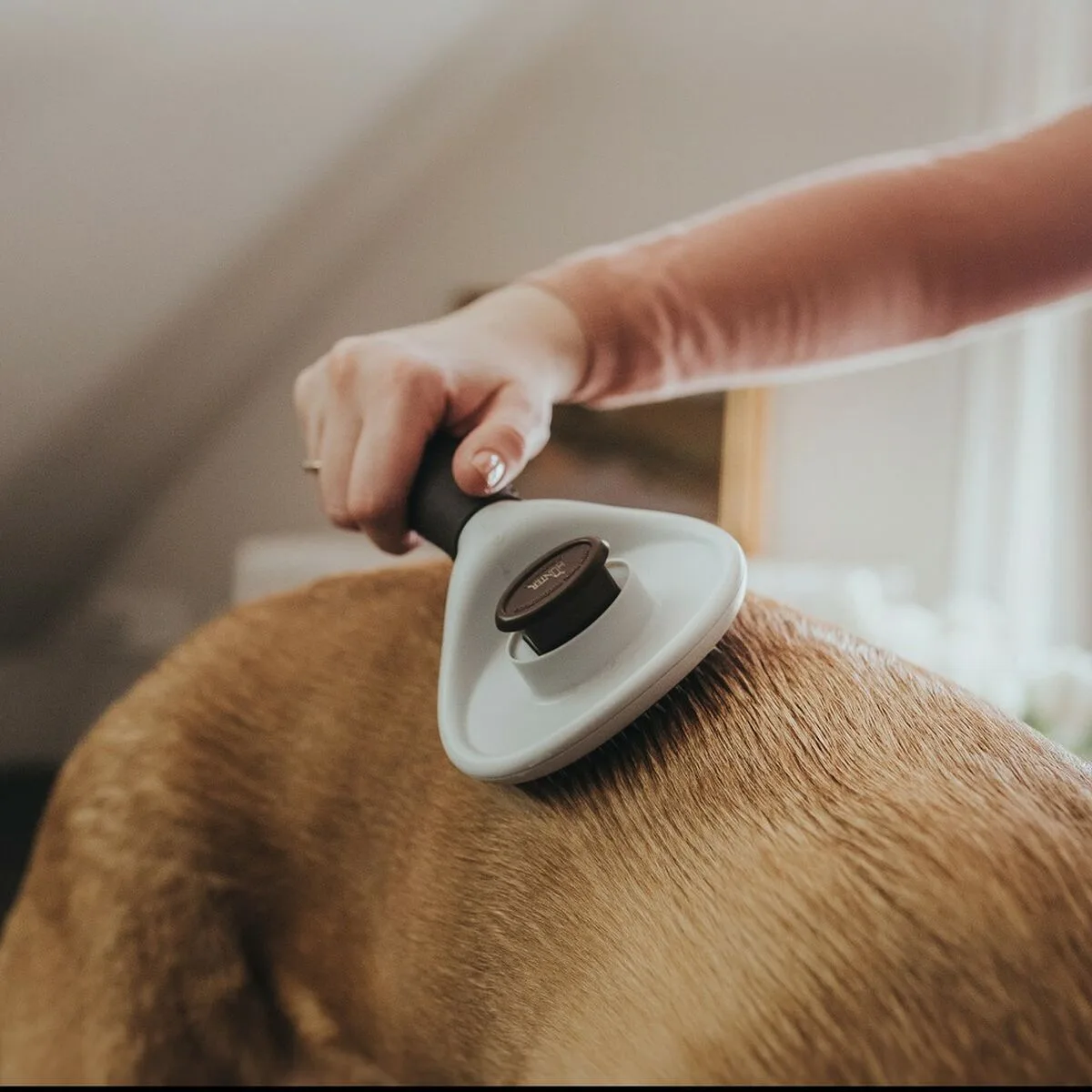 Brosse demelante hunter auto nettoyant s610252426. Plongez dans l'univers Diaytar, votre référence pour des produits du quotidien, high-tech et déco, tous porteurs de tendances