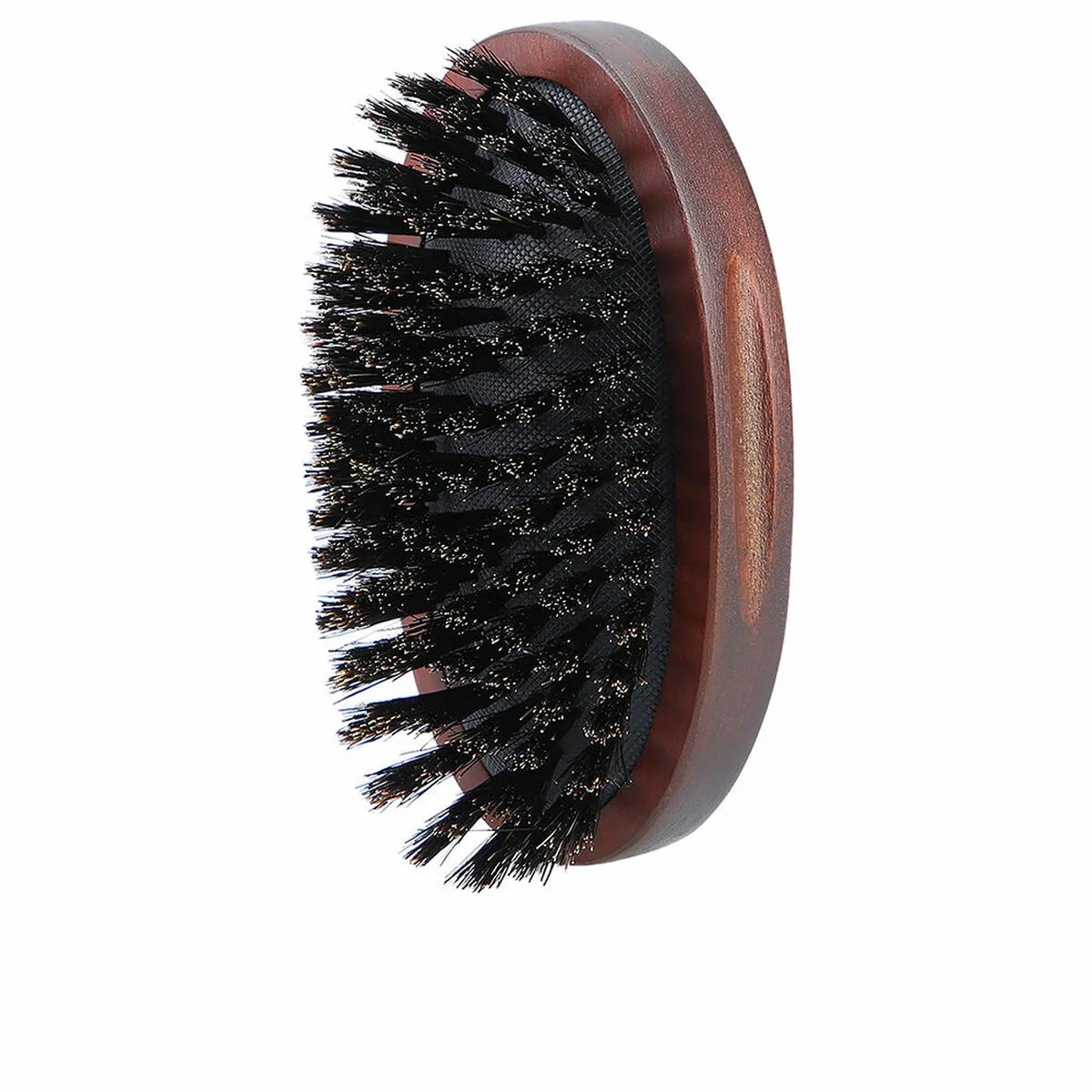 Brosse lussoni oblongue barbe s0511806329. Diaytar, c'est le hub où se connectent les créateurs de produits géniaux et les clients qui les attendaient sans le savoir.