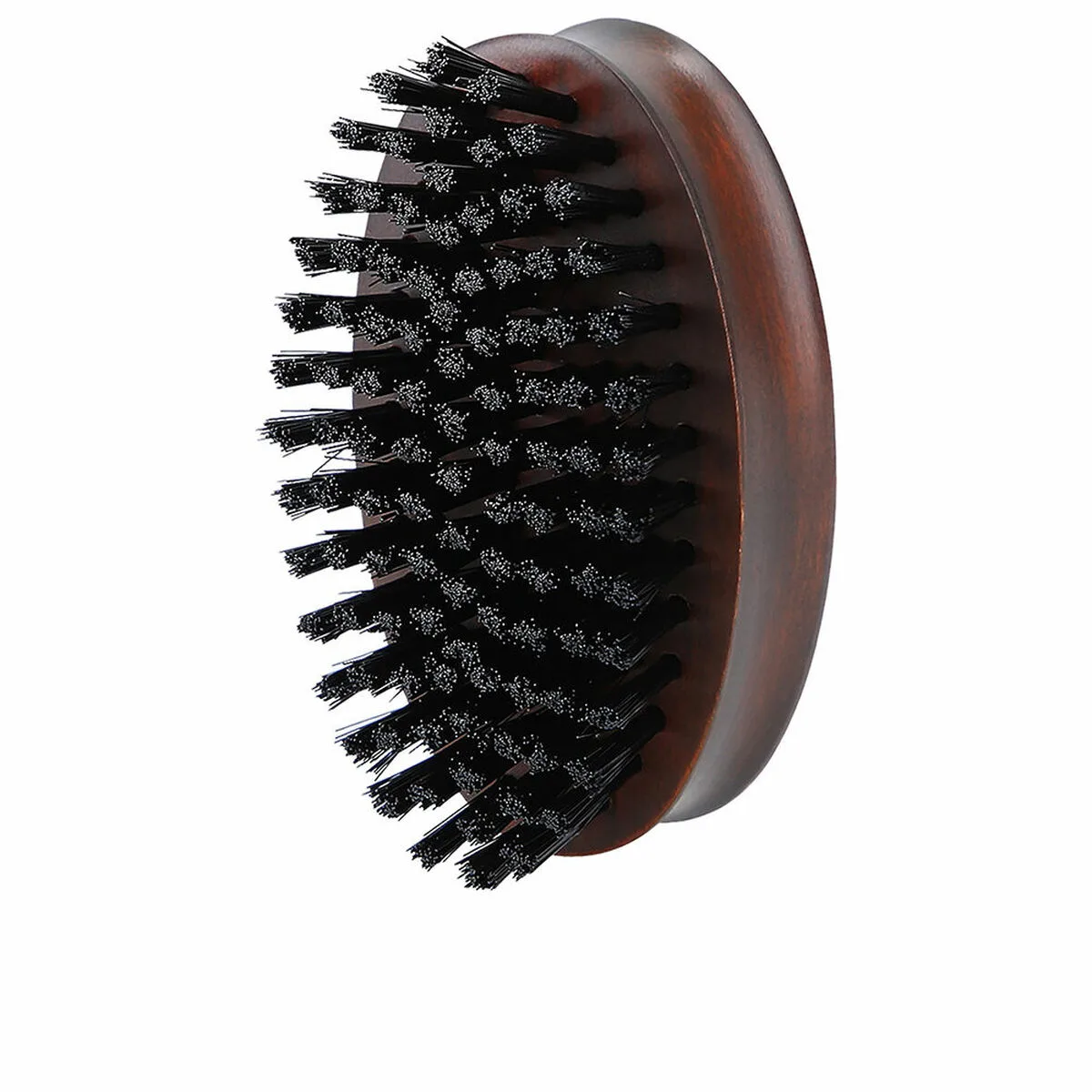 Brosse lussoni oblongue barbe s0511806575. Diaytar a fait de la variété son arme secrète : une offre généraliste si vaste que vous y trouverez forcément l'inimaginable