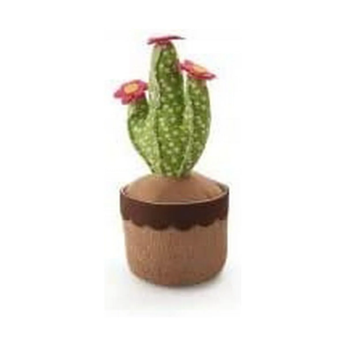 Butee inofix portes cactus vert s790782096. Chez Diaytar, nous fusionnons l'utile à l'agréable avec une gamme complète de produits soigneusement choisis pour leur design et leur fonctionnalité