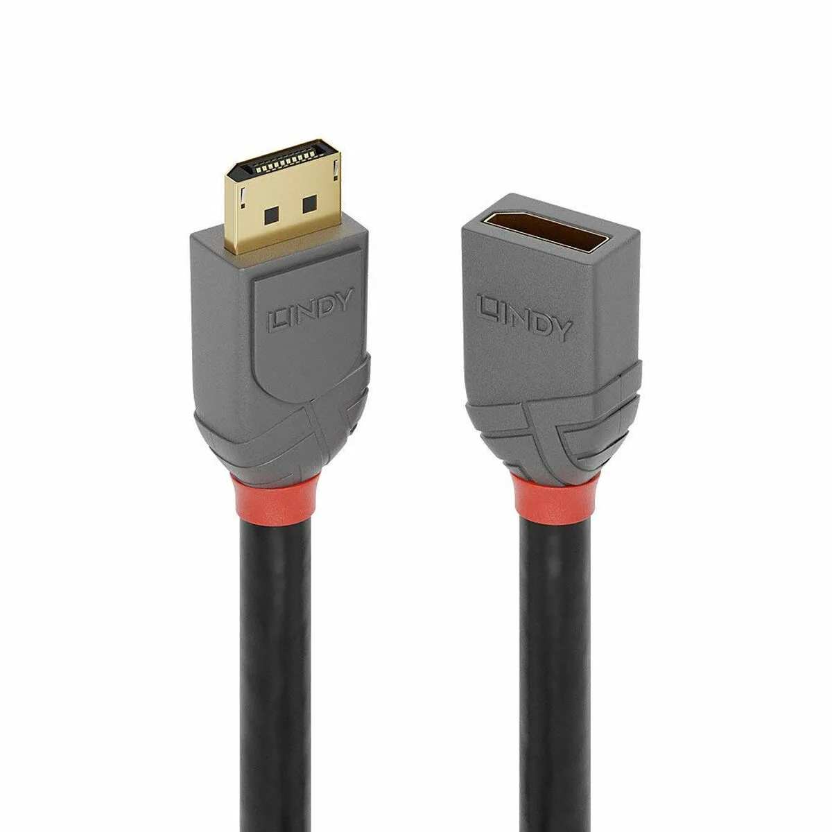 Cable displayport lindy 36495 noir s771539343. Diaytar, c'est l'évidence que quand on aime les produits, on ne compte pas. On les collectionne. À vous de jouer.