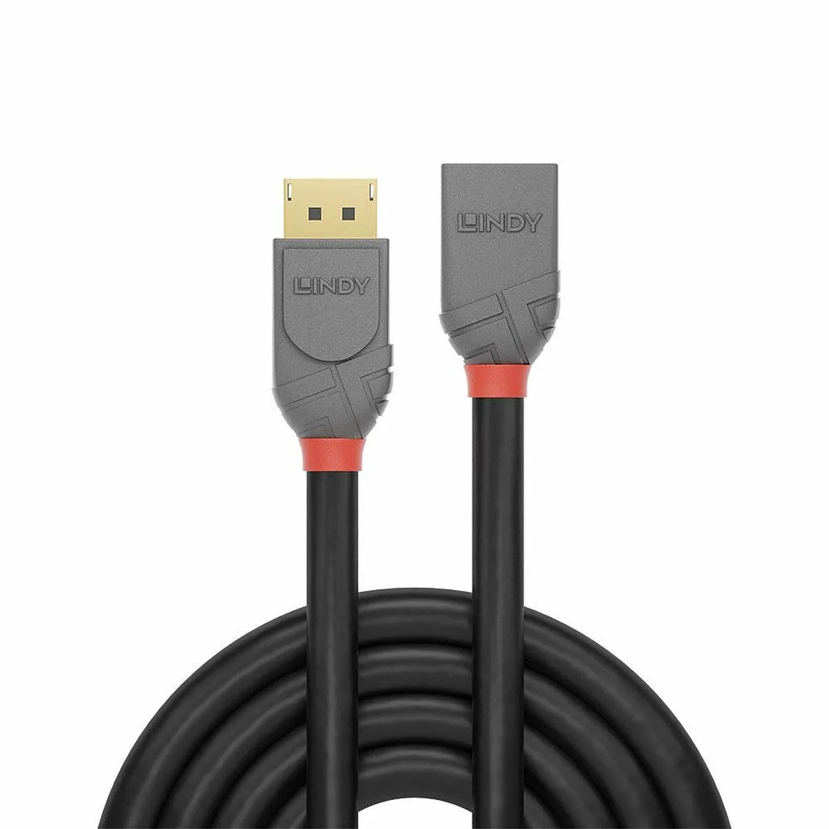 Cable displayport lindy 36498 3 m s771539661. Chez Diaytar, chaque visite est l'occasion de découvrir un nouveau produit génial, qu'il soit électronique ou domestique