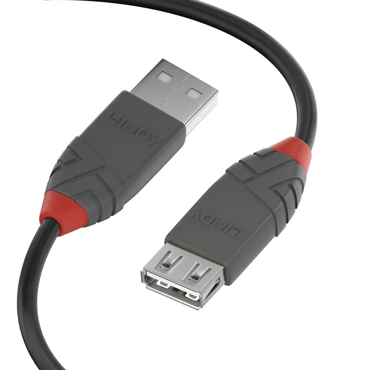 Cable displayport lindy 36703 2 m noir s771545651. Exprimez votre personnalité avec les accessoires tendance de Diaytar.