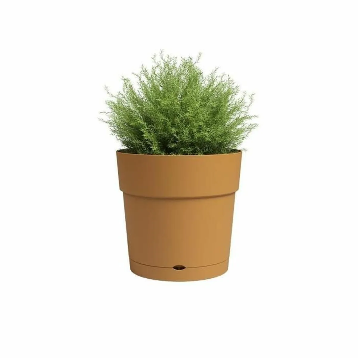 Cache pot artevasi large re jaune o 40 cm s7101153170. Diaytar s'adresse à tous ceux qui considèrent que le choix d'un produit, même basique, est une expression de leur personnalité