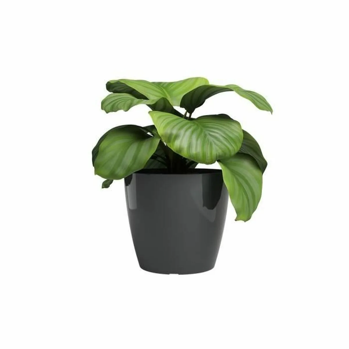 Cache pot artevasi san remo anthracite o 30 cm s7101151342. Diaytar : La boutique qui réunit qualité, tendance et prix accessibles sous un même toit.