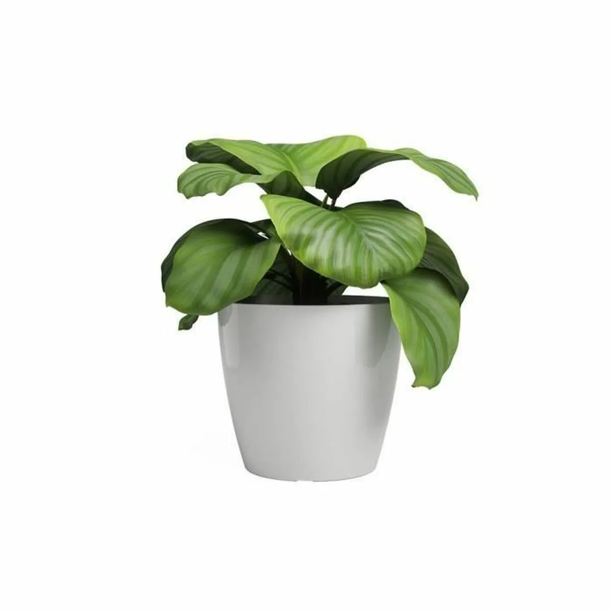 Cache pot artevasi san remo blanc o 36 cm 4 pieces s7101151226. Chez Diaytar, nous sommes convaincus que le meilleur produit est celui qui allie utilité, beauté et innovation. C'est notre credo.