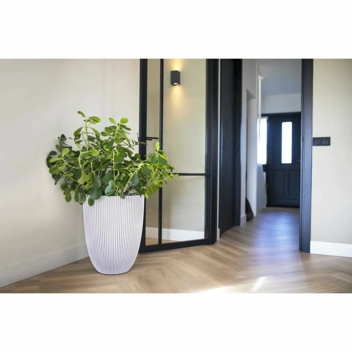 Cache pot capi europe beige plastique rond 34 x 34 x 46 cm s7100785813. Chez Diaytar, chaque visite est l'occasion de découvrir un nouveau produit génial, qu'il soit électronique ou domestique