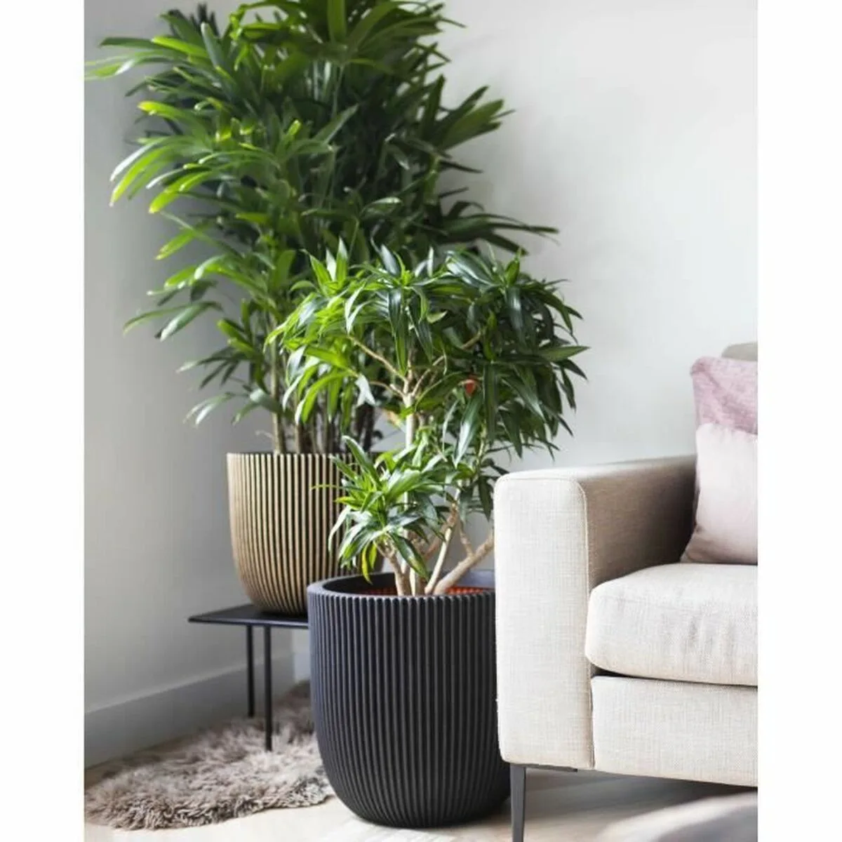 Cache pot capi europe dore plastique rectangulaire o 35 cm s7100782022. Diaytar est le résultat de milliers d'heures de recherche et développement pour vous offrir une offre généraliste d'exception.