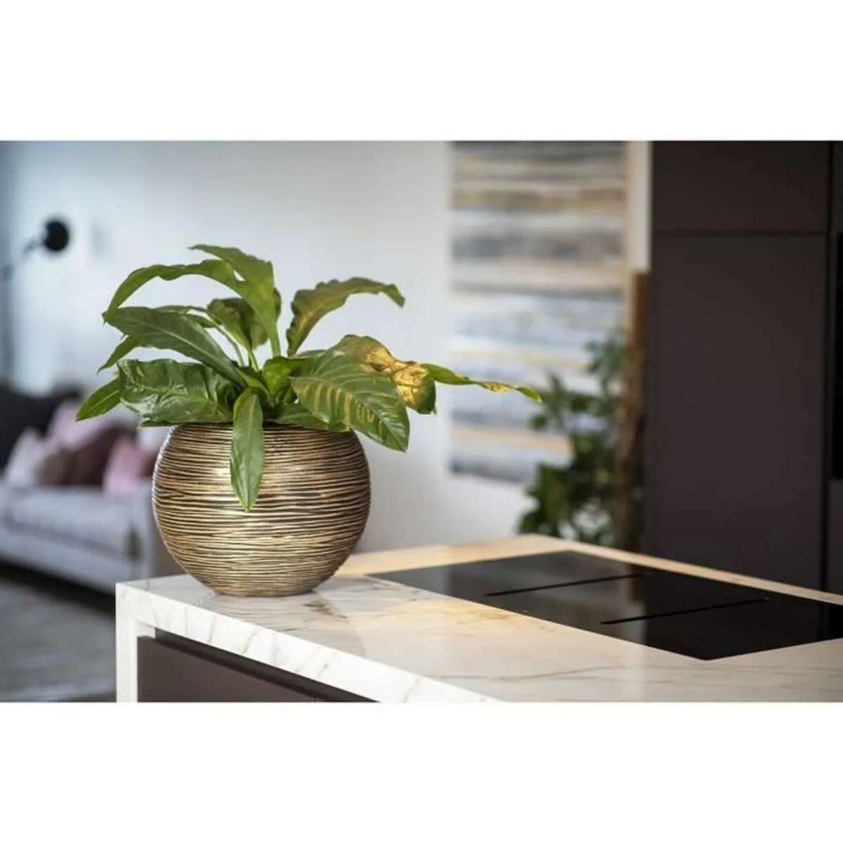 Cache pot capi europe dore plastique rond o 40 cm s7100807839. Notre credo ? L'excellence accessible. Diaytar rend le premium attainable dans chaque catégorie de produits.
