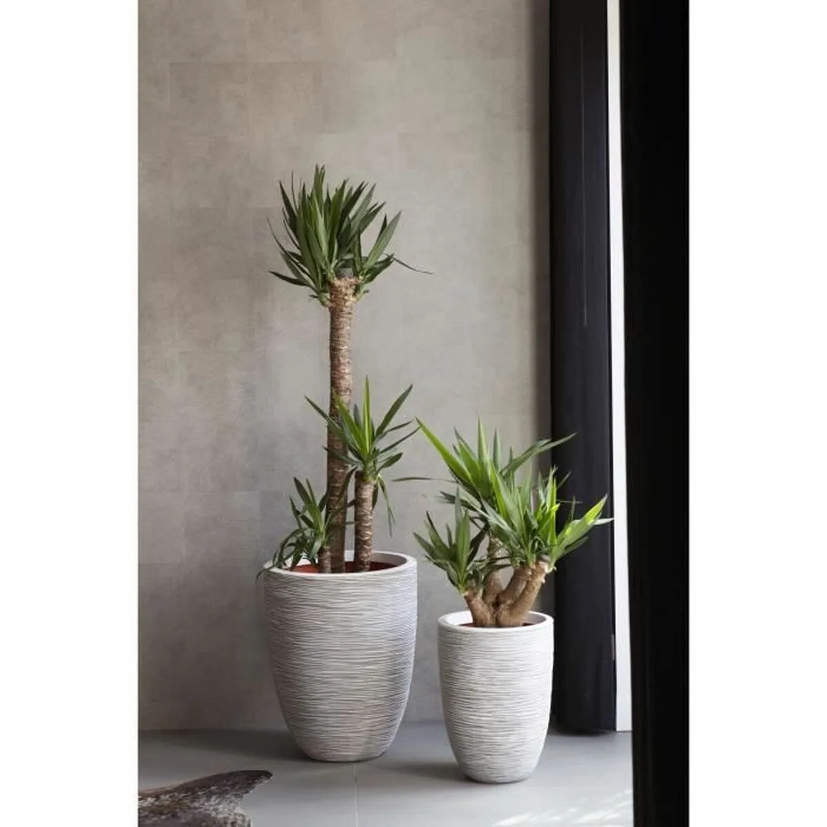 Cache pot capi europe ivoire plastique rond s7100883753. Diaytar Home : Créez l'atmosphère parfaite dans chaque pièce de votre maison.