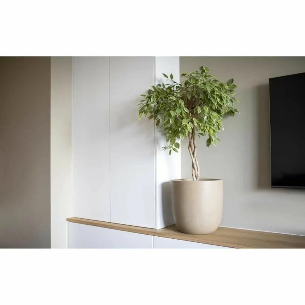 Cache pot capi europe plastique o 35 cm 35 x 35 x 34 cm s7100785762. Exprimez votre personnalité avec les accessoires tendance de Diaytar.