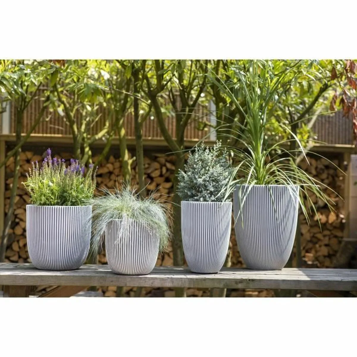 Cache pot capi europe plastique o 35 cm s7100781853. Bienvenue sur Diaytar, l'endroit où les produits ne sont pas juste achetés, mais sont adoptés pour la vie.